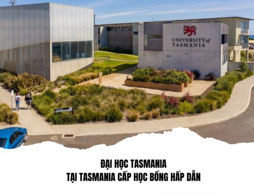 ĐẠI HỌC TASMANIA CẤP NHIỀU HỌC BỔNG HẤP DẪN