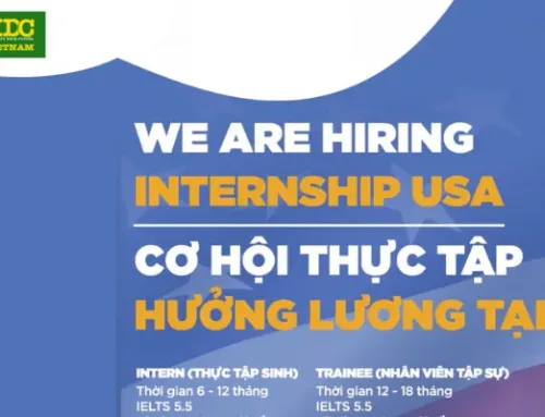 THỰC TẬP HƯỞNG LƯƠNG TẠI MỸ LÀ CHƯƠNG TRÌNH NHƯ THẾ NÀO?