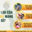 Quyền lợi của visa EB3 mang lại